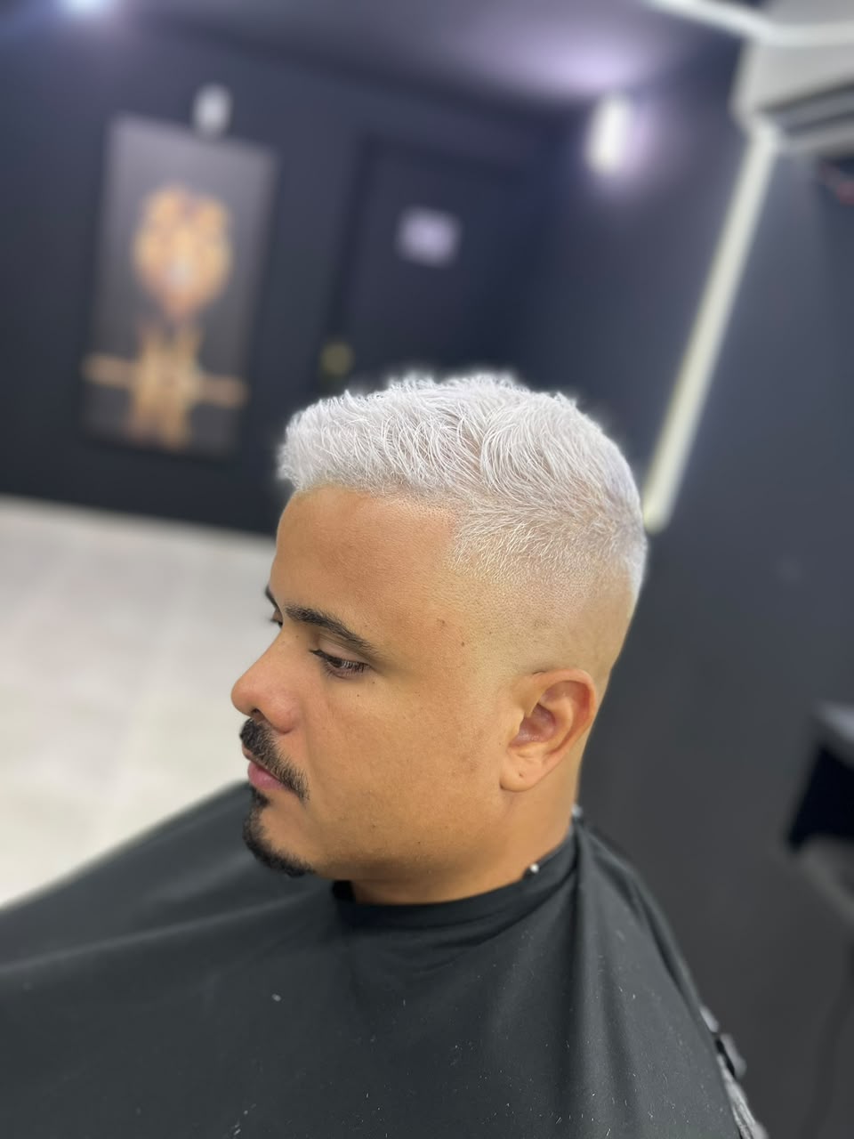 Corte 7